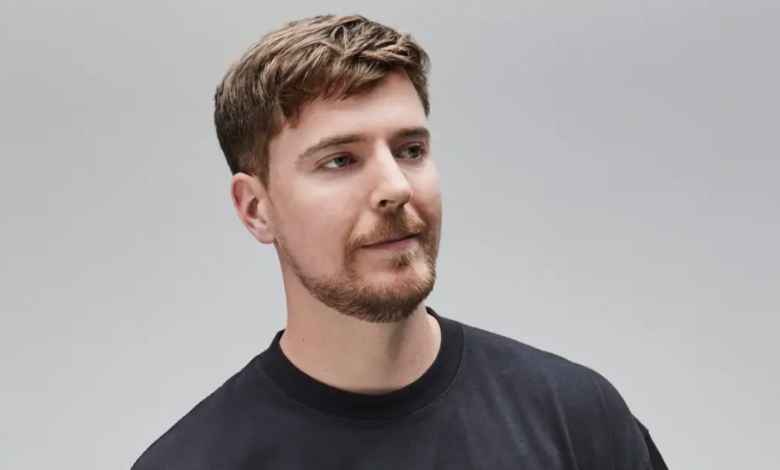 Mr Beast Net Worth: A Complete Guide to Mr Beast Net Worth and His Success Story 2 mr beast net worth